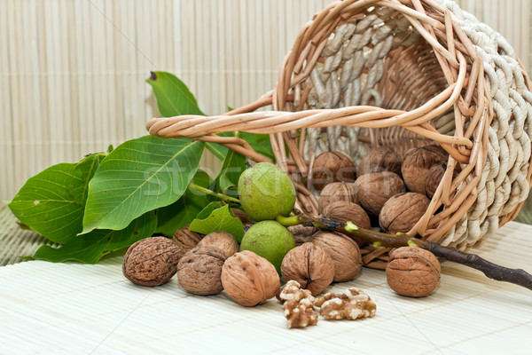 Stock photo: Walnuts with green leaves and immature fruit