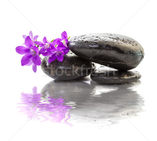 zen Stones with purple flowers Stock photo © g215