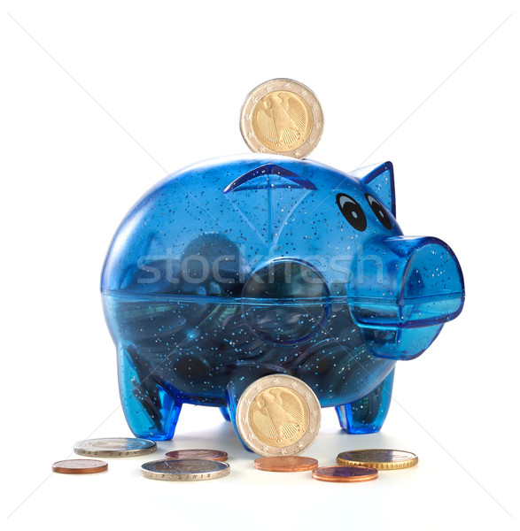 Pig a coin box with coins on a white background Stock photo © g215