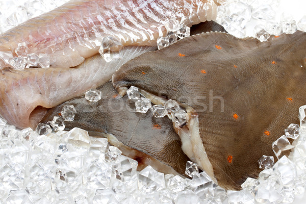 Fresh flounder on ice closeup Stock photo © g215