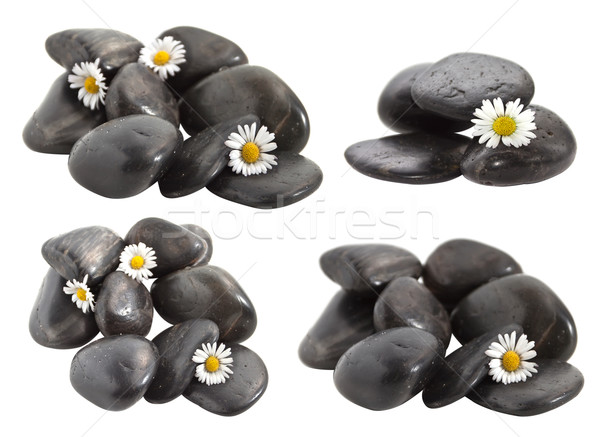 Black decorative stones with flowers daisies. Stock photo © g215
