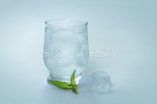 Jég menta víz üveg zöld ital Stock fotó © g215