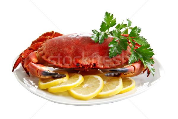 Crab  on a platter Stock photo © g215