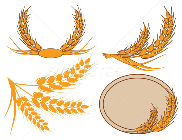 ear of wheat in a wreath Stock photo © g215