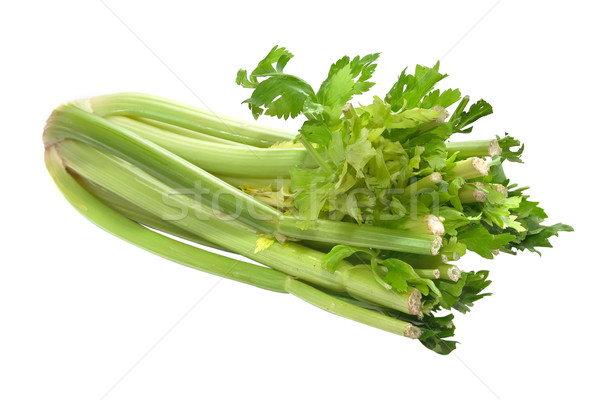 Celery isolated on a white background. Stock photo © g215