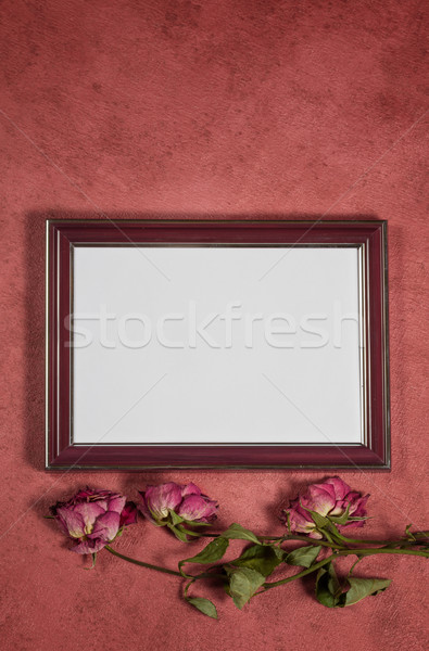 Vintage background with frame for photo and dry roses Stock photo © g215