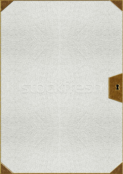 Textura piel oro resumen fondo tejido Foto stock © g215