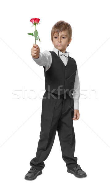 Boy in a tuxedo with a rose in hand. Isolate on white background Stock photo © g215