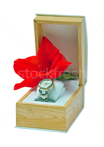Cadou set modă ceas frunze frumuseţe Imagine de stoc © g215