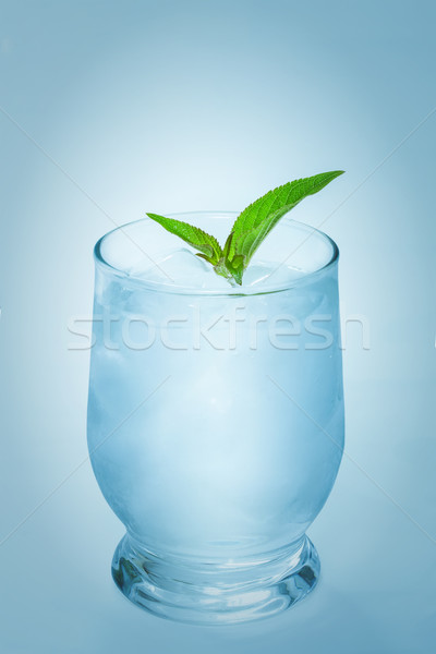 Tonic with ice and mint Stock photo © g215