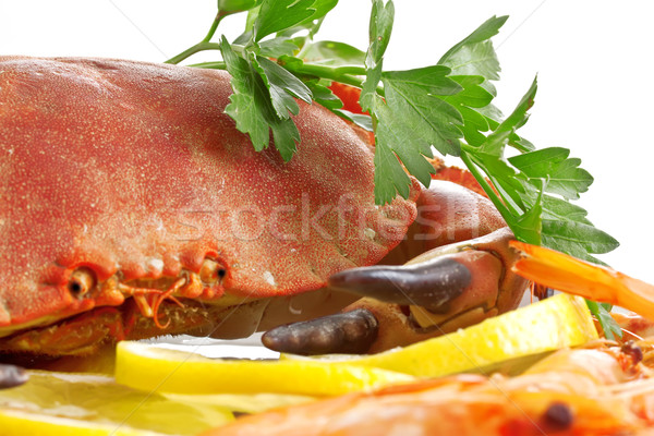 Crab  on a platter Stock photo © g215