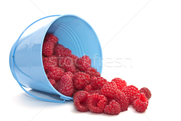 Stock photo: Raspberries in a bucket on a white background