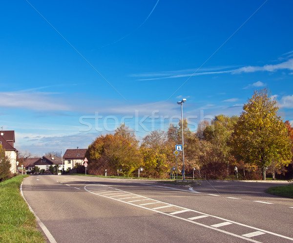 Petite ville Allemagne Europe fleurs plantes maisons [[stock_photo]] © g215