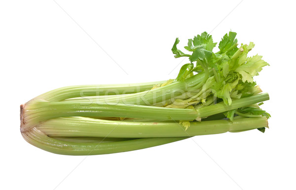 Celery isolated on a white background. Stock photo © g215