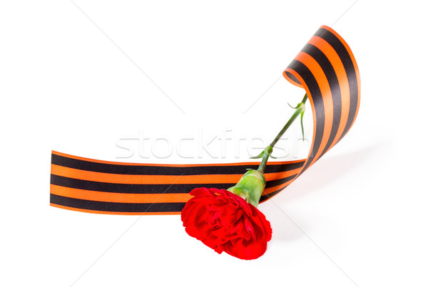 Red Carnation with ribbon St. George. isolated on white backgrou Stock photo © g215