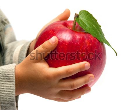 Roten Apfel Hände isoliert weiß Essen Apfel Stock foto © g215