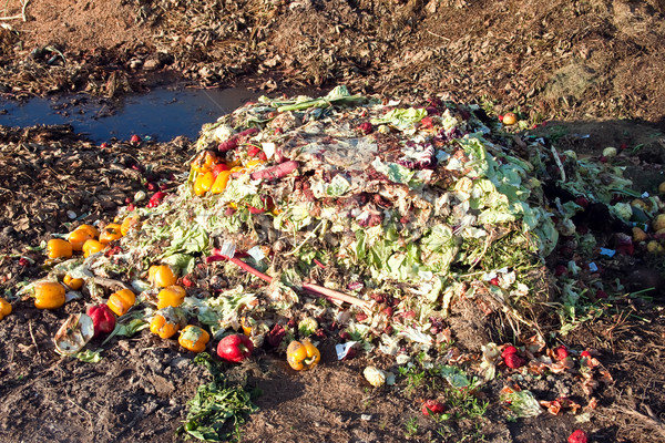 food waste Stock photo © g215