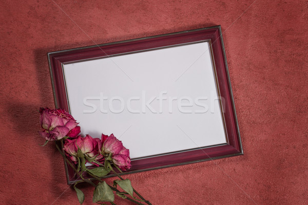 Vintage background with frame for photo and dry roses Stock photo © g215