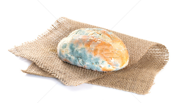 Pâine acoperit mucegai paine alba alb Imagine de stoc © g215