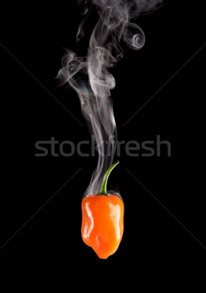 Smoking Hot Orange Habanero Pepper (Capsicum Chinense) Stock photo © gabes1976