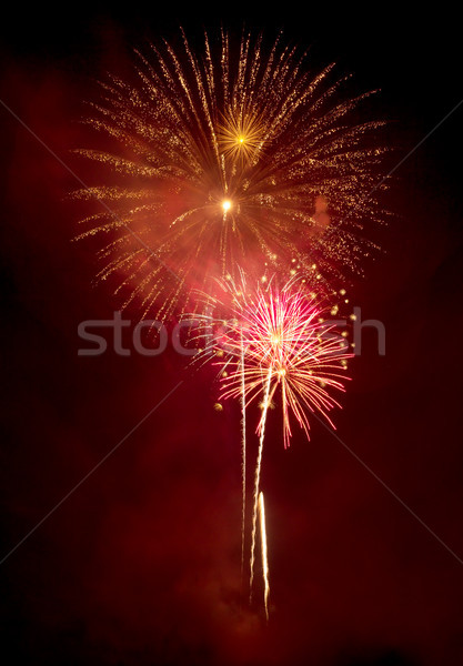 Fireworks Stock photo © gabes1976
