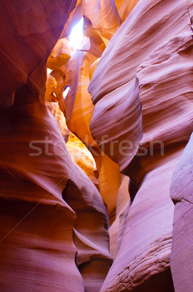 Baixar desfiladeiro página Arizona dentro natureza Foto stock © gabes1976