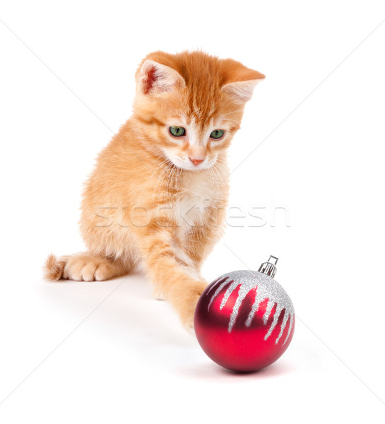 Cute Orange Kitten Playing with a Christmas Ornament on White Stock photo © gabes1976