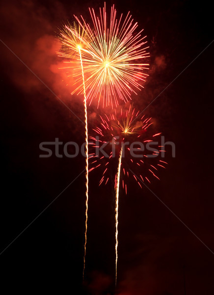 Fireworks Stock photo © gabes1976