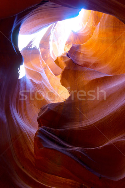 Senken Canyon Seite Arizona innerhalb Natur Stock foto © gabes1976