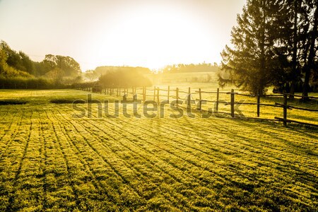 Sunrise over misty grassland with wooden fence in the foreground.  Stock photo © gabor_galovtsik