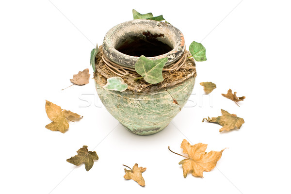 Old rustic clay pot with leaves Stock photo © gavran333