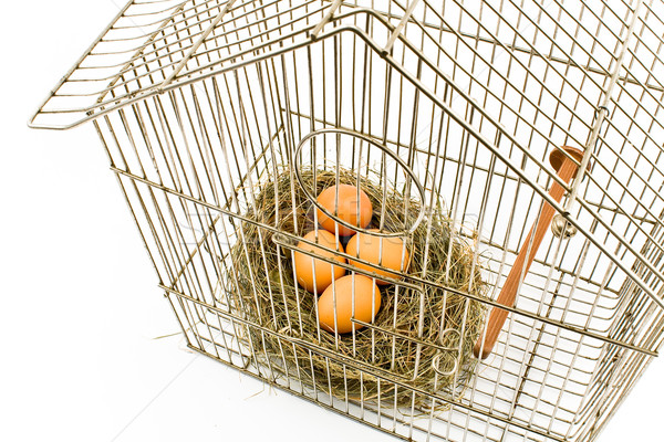 Stock photo: Eggs in Nest confined in Bird Cage