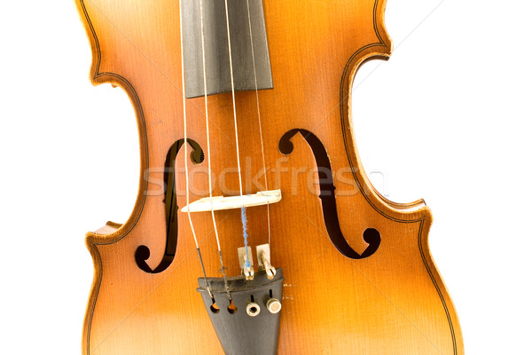 Close up of violine body Stock photo © gavran333