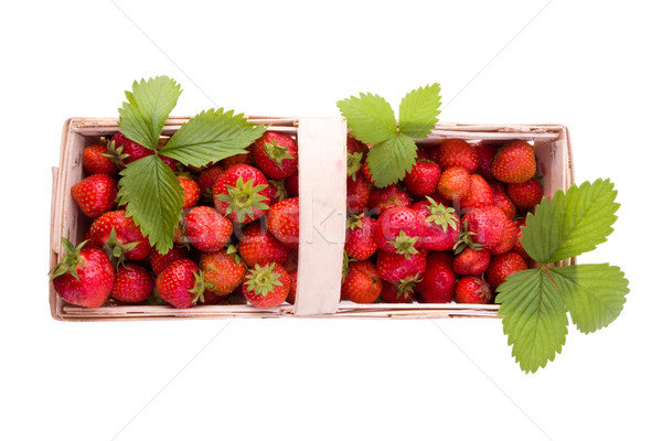 Strawberries on white Stock photo © Gbuglok
