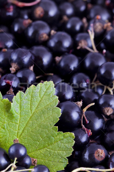 Nero full frame frutti foglia frutta sfondo Foto d'archivio © Gbuglok