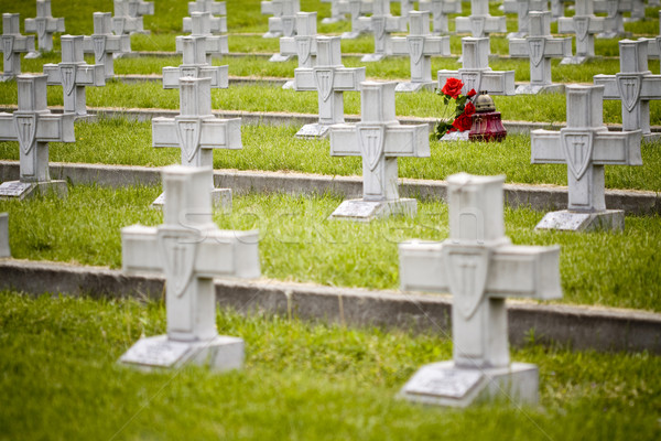 Military cemetery crosses Stock photo © Gbuglok