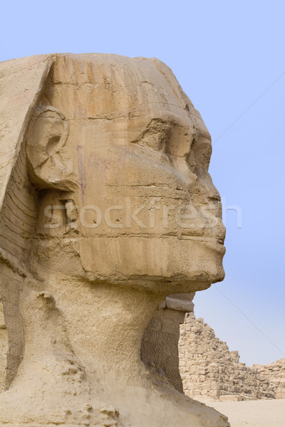 Stock photo: The stone face of the Sphinx