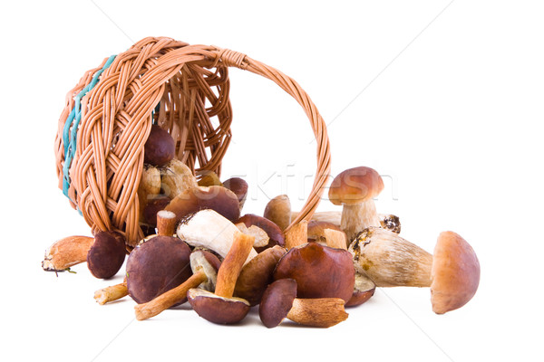 [[stock_photo]]: Champignons · blanche · cèpes · osier · panier · isolé