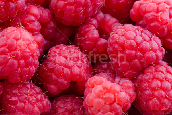 Frambuesas primer plano frescos rojo dulce frutas Foto stock © Gbuglok