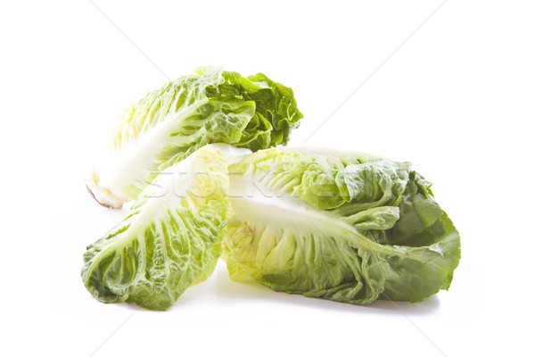 新鮮 生菜 綠色 孤立 白 性質 商業照片 © Gbuglok