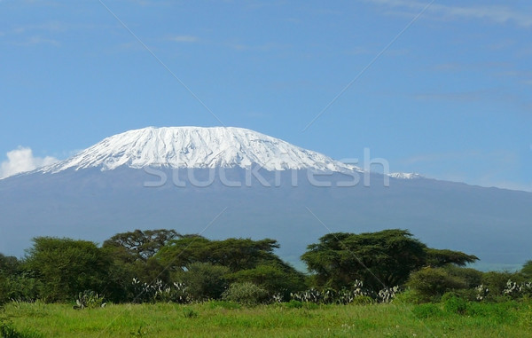 Kilimanjaro in Kenya Stock photo © Gbuglok