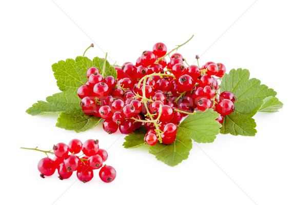 Rojo aislado blanco frescos frutas Foto stock © Gbuglok
