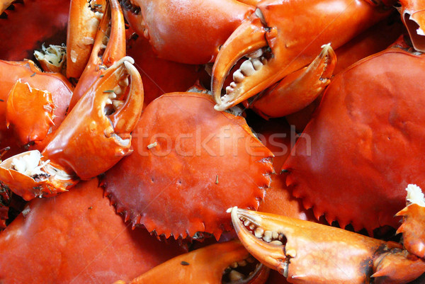 Red spiced crabs Stock photo © Gbuglok