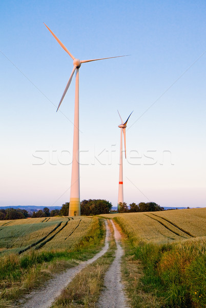 Trails to windmills Stock photo © Gbuglok