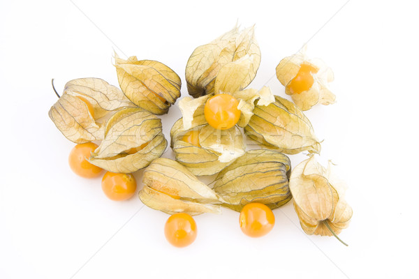 Physalis on white Stock photo © Gbuglok