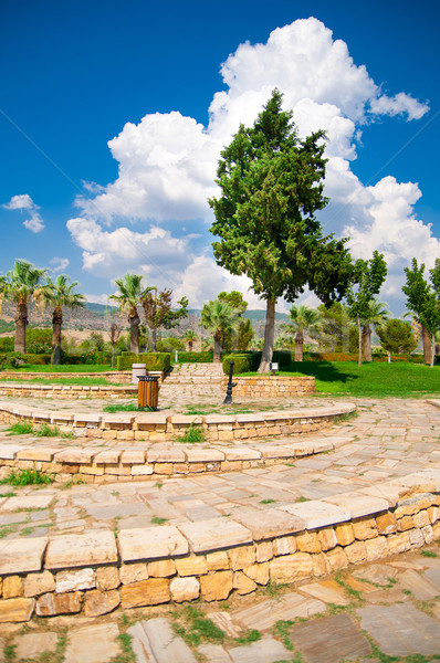 Yaz park güzel mavi açık gökyüzü bahar Stok fotoğraf © GekaSkr