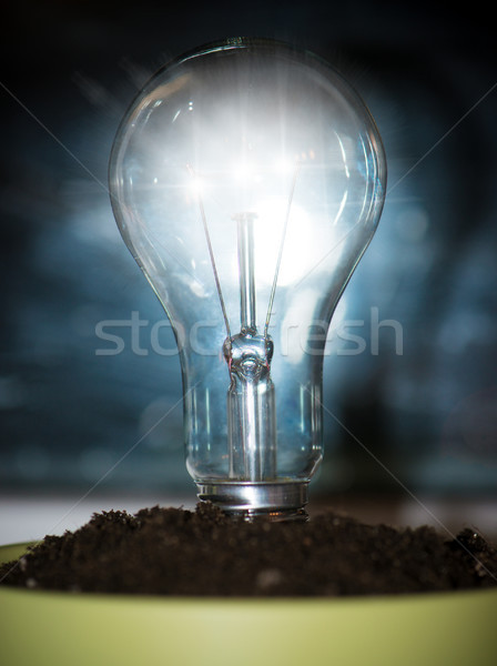 Glühlampe Topf Boden Hintergrund schwarz Energie Stock foto © GekaSkr
