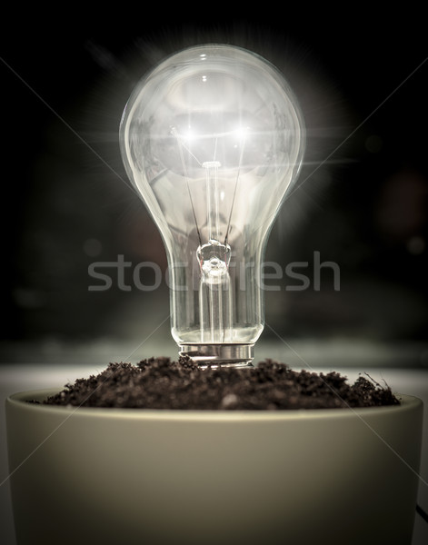 Ampoule pot sol fond noir énergie [[stock_photo]] © GekaSkr