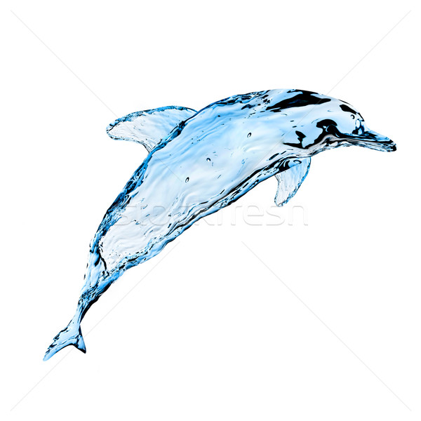 Wasser Delphin Spritzer weiß Fisch Meer Stock foto © GekaSkr