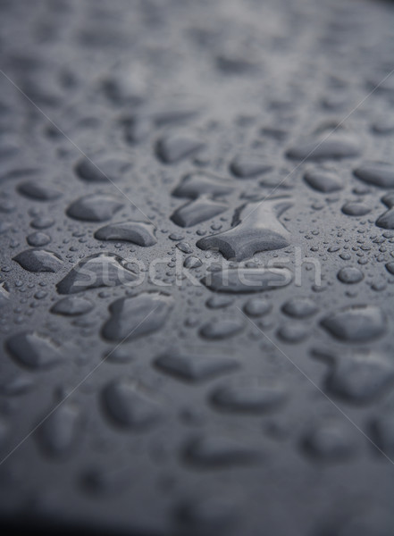 Water drops Stock photo © gemenacom